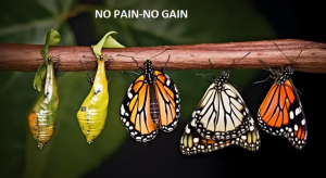 No pain No gain – Vượt qua thử thách sẽ đạt được thành công.